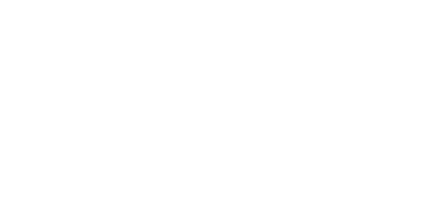 Biometil