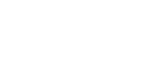 Brudine